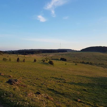 Ferienwohnung Pusteblume Ehrenberg  Dış mekan fotoğraf