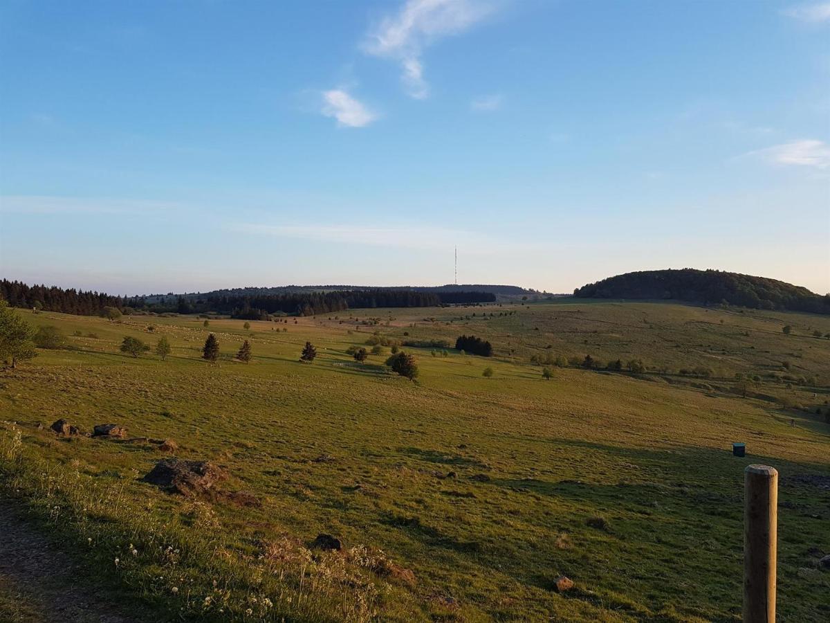Ferienwohnung Pusteblume Ehrenberg  Dış mekan fotoğraf